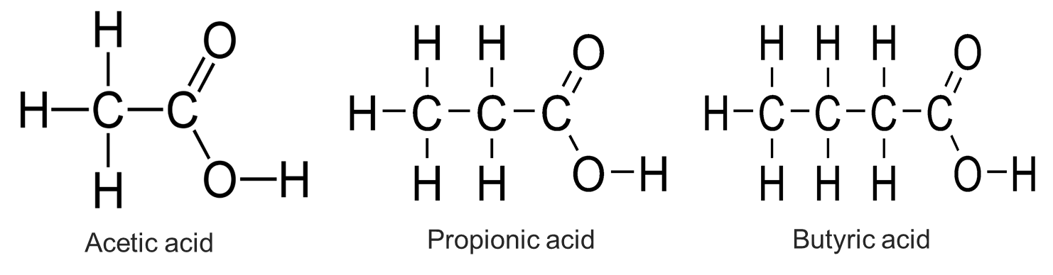 Short-Chain-Fatty-Acids-Analysis-1