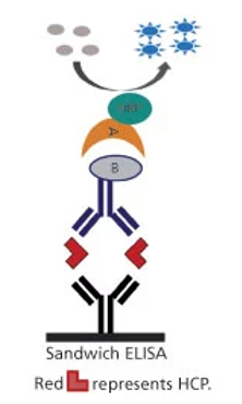 METHODS TO DETECT HOST CELL PROTEINS IN BIOPHARMACEUTICAL