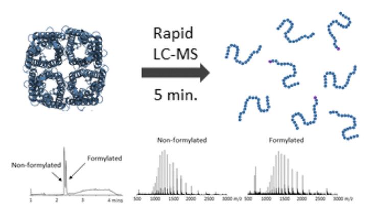 LC-MS Method for Accurate Molecular Weight Determination