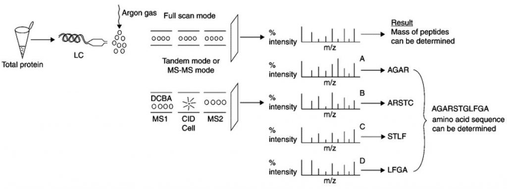 Advanced Sequencing Techniques