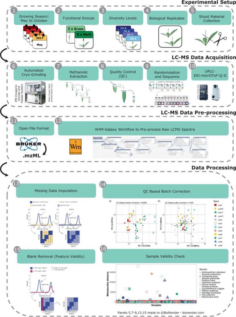 Data set overview