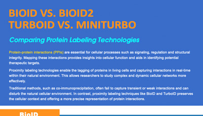 Comparing BioID, BioID2, TurboID, and miniTurbo