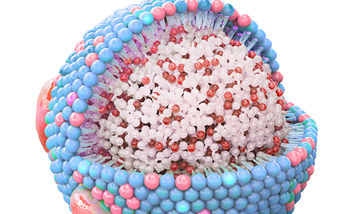 Large-Scale Phospho Profiling