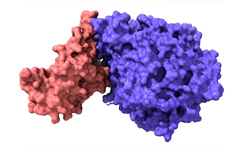 Large-Scale Phospho Profiling