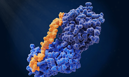 Large-Scale Phospho Profiling