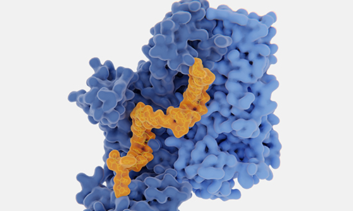 Large-Scale Phospho Profiling