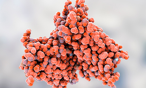 Large-Scale Phospho Profiling