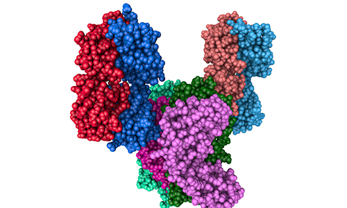 Large-Scale Phospho Profiling