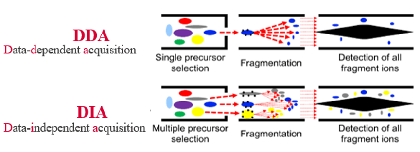 4D-DIA Proteomics Services