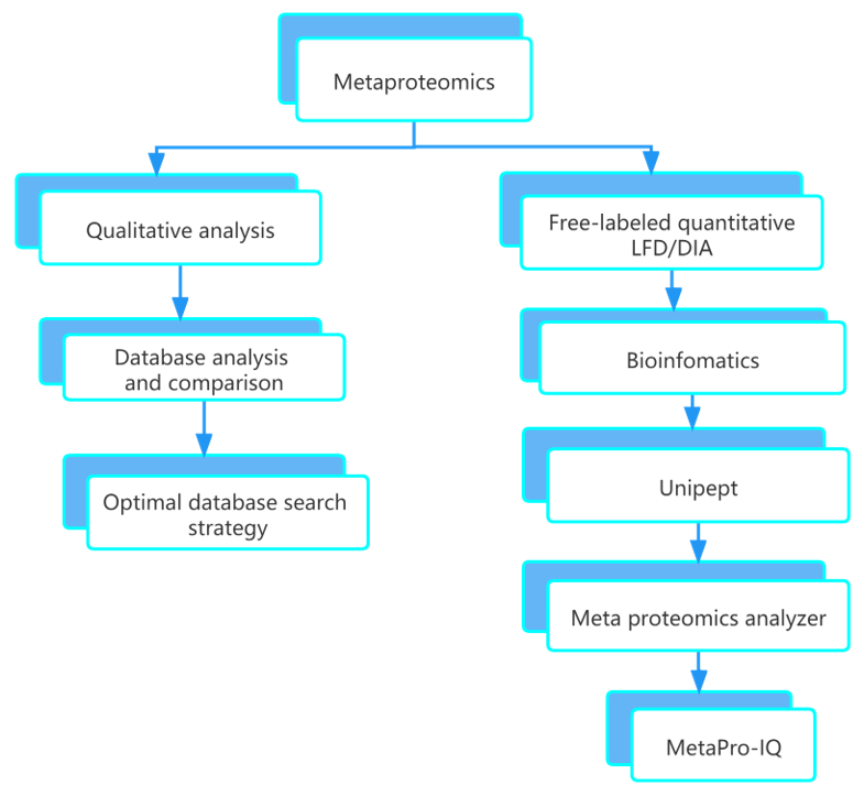 How to Perform Metaproteome Data Analysis