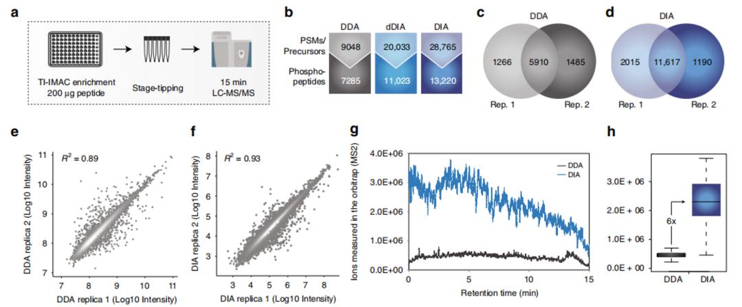 a-h Comparison of experimental results between DDA and DIA