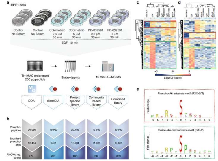 DIA Mass Spectrometry: A New Tool For High-Throughput Phosphoproteomics