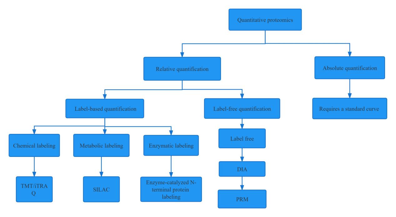 Differences Between DIA, TMT/iTRAQ, And Traditional Label-frees