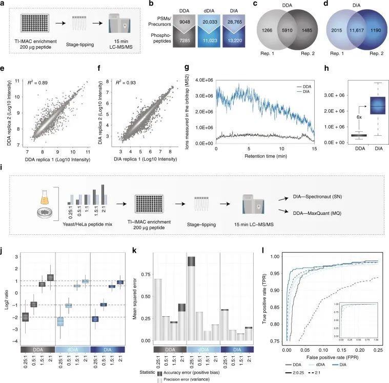 Identification and quantification of phosphorylated proteins using DDA and DIA phosphoproteomics