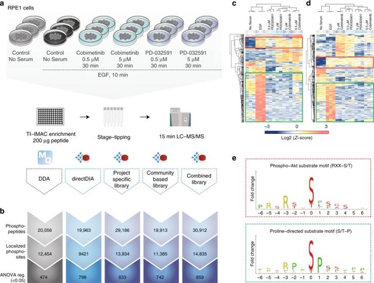 A comparison of DDA and different types of DIA in biological settings.