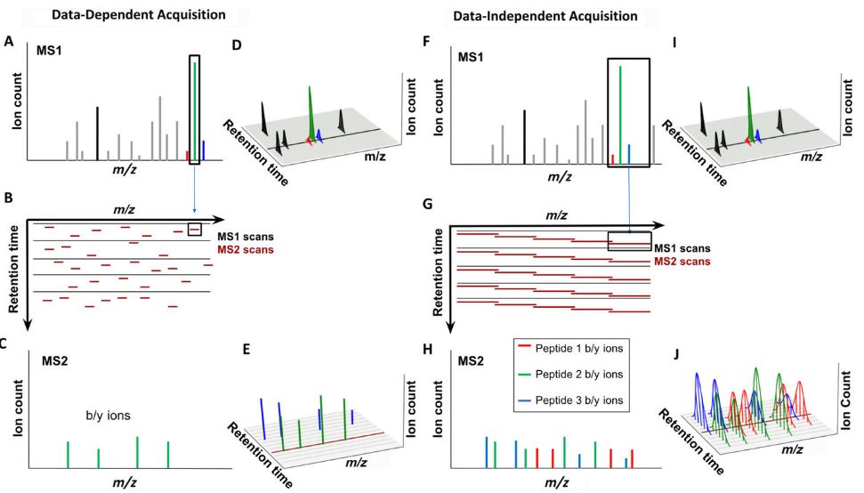 Principle and application of Data-Independent Acquisition