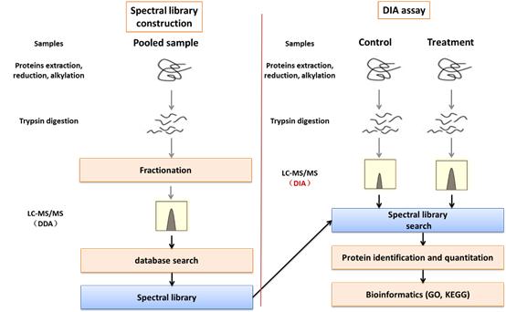 Questions about the application of DIA