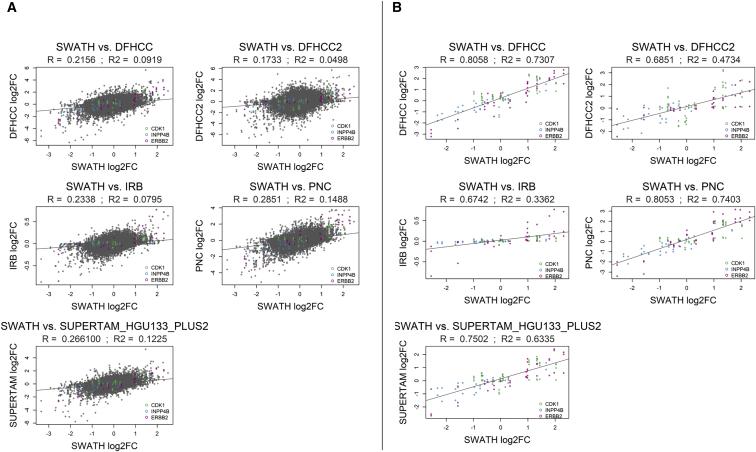 Correlation analysis of the protein levels