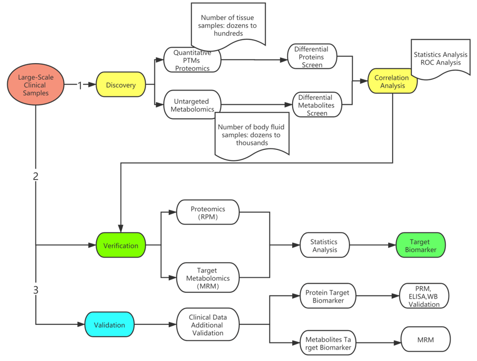 Biomarker research process