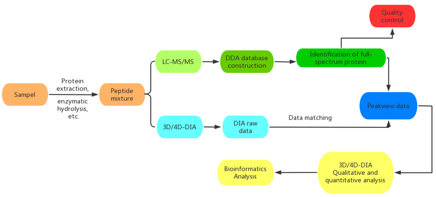 Workflow of Our Plasma/Serum Proteomics Service