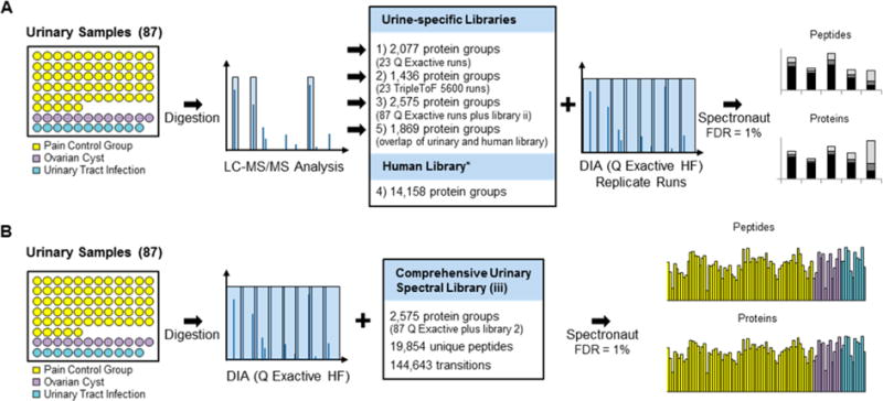 Workflow. (A) Generation of spectral library. (B) DIA sample acquisition.