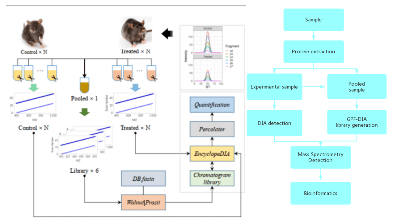 GPF-DIA Workflow