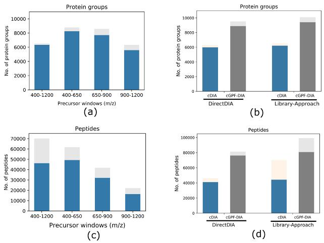 Protein groups and peptides identified from different approaches with each condition run in triplicate.