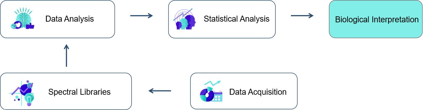 Peptide-Centric DIA Data Analysis