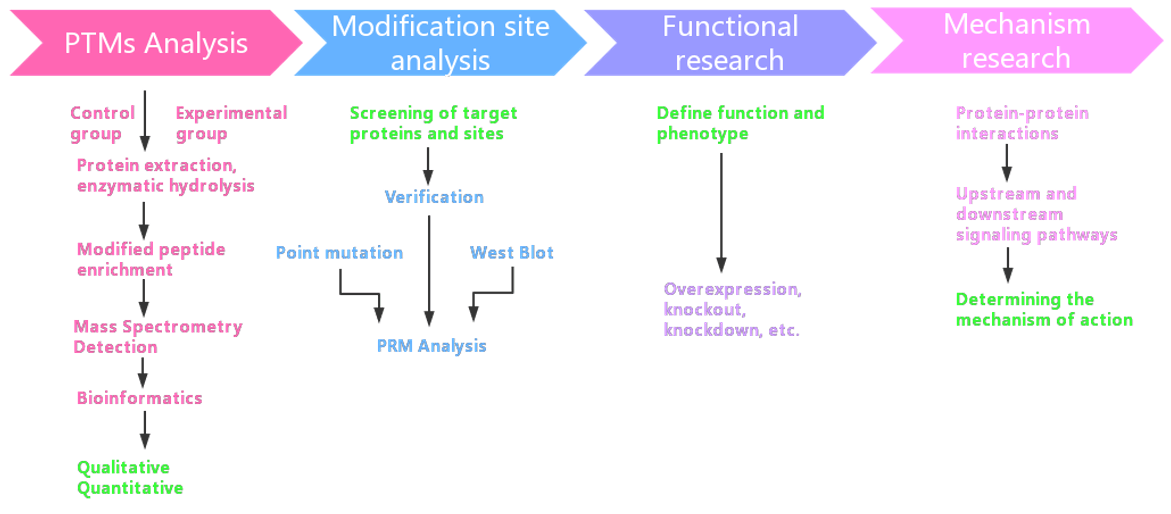 PTM Identificaion Service