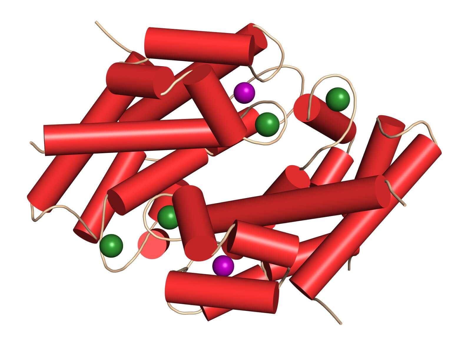 Clinical Proteomics Solution