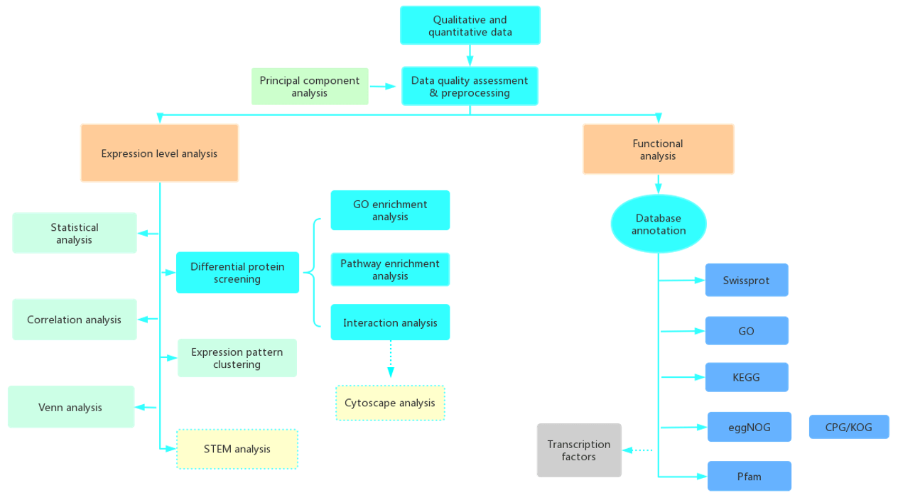 Data Analysis