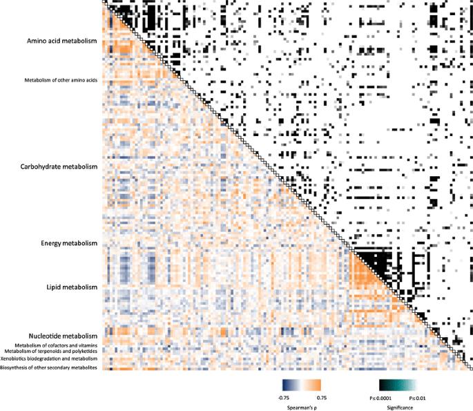 Heat-map of metabolite–metabolite correlation for D. dumetorum.