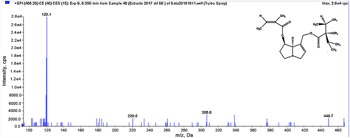 Proposed structure and EPI experiment of m/z 466 compound