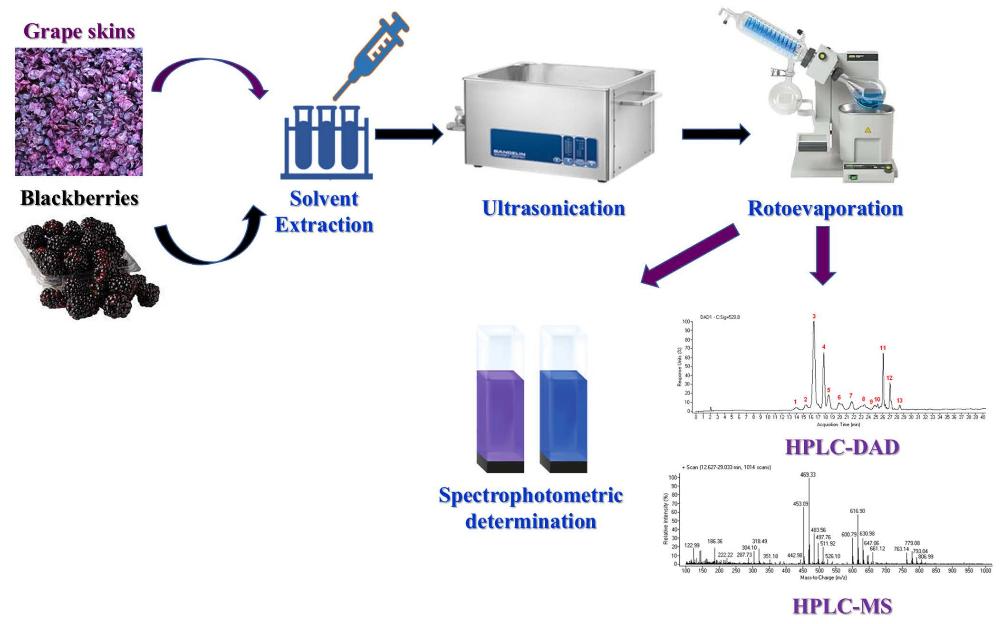 Anthocyanidins Analysis Service