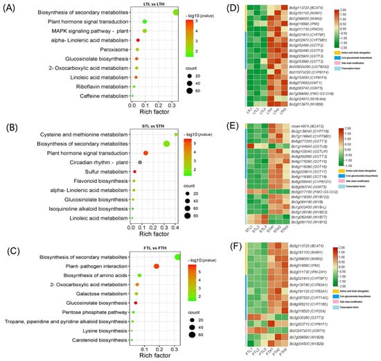 KEGG pathway enrichment analyses of DEGs identified between low and high RAA content pools.