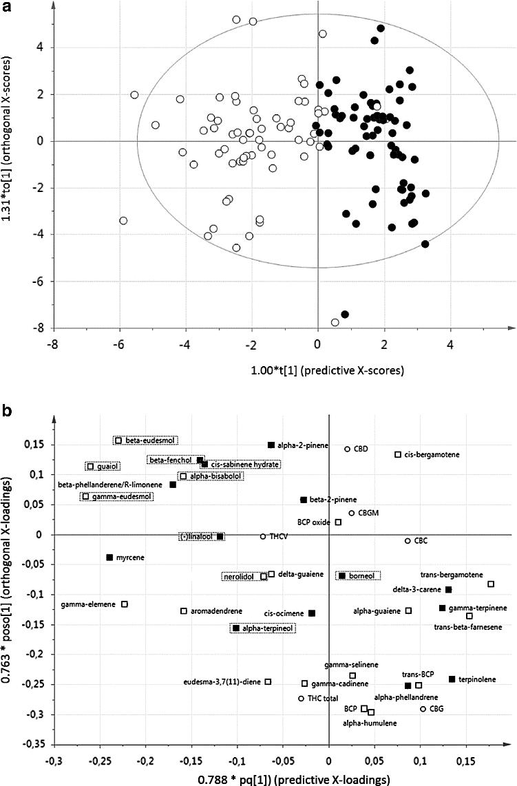 (a) OPLS-DA score plot discriminating Sativa-labeled from Indica-labeled samples. (b) OPLS-DA loading plot.