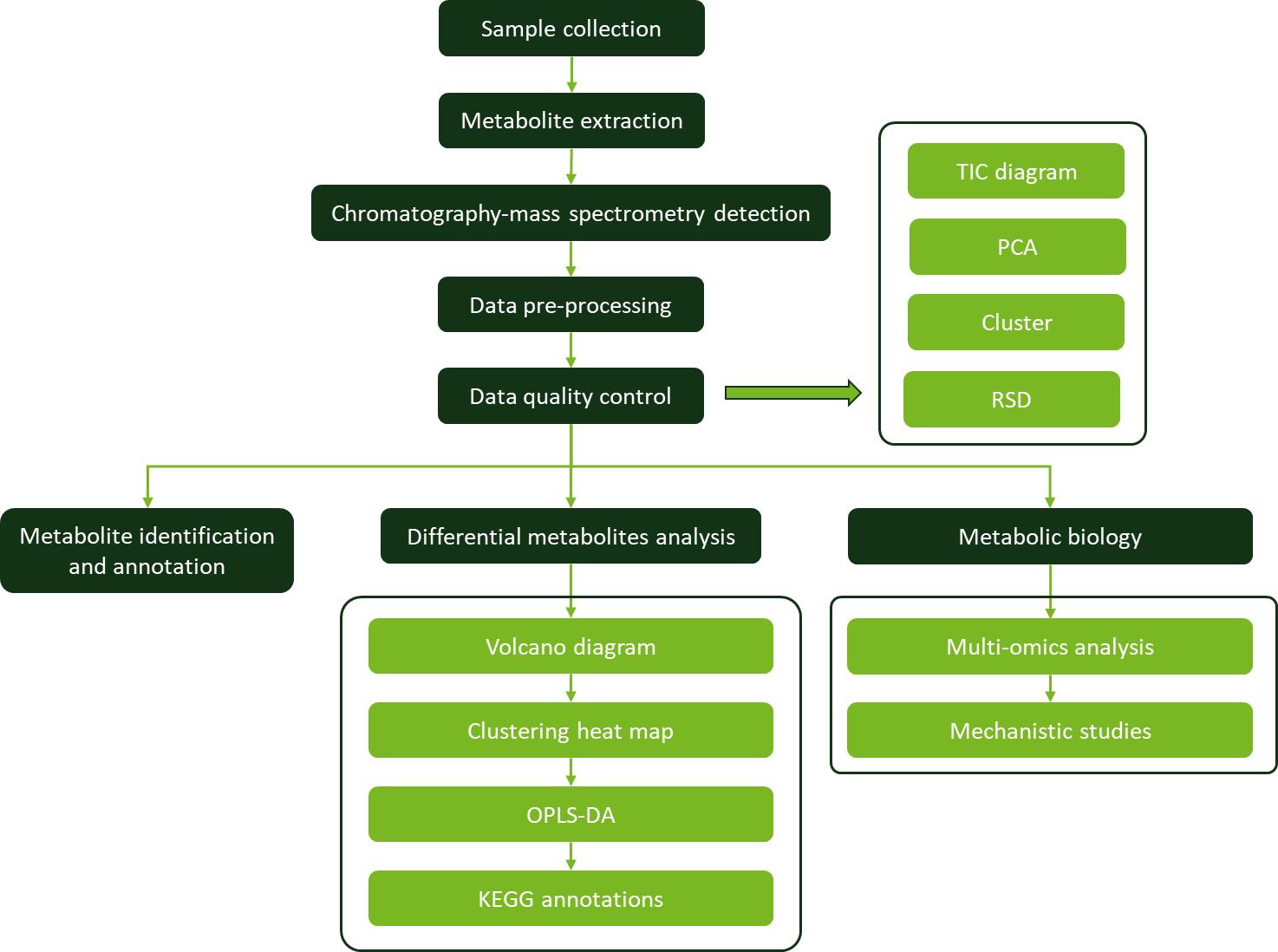 Fig. 1 Workflow for Plant Metabolomics Service