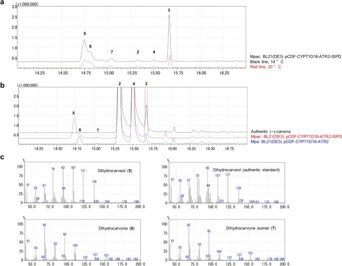  Their enzymatic activities are confirmed by GC analysis.