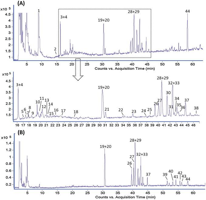 LC–QTOF MS chromatograms of Shenfu injection in positive ion mode and negative ion mode.