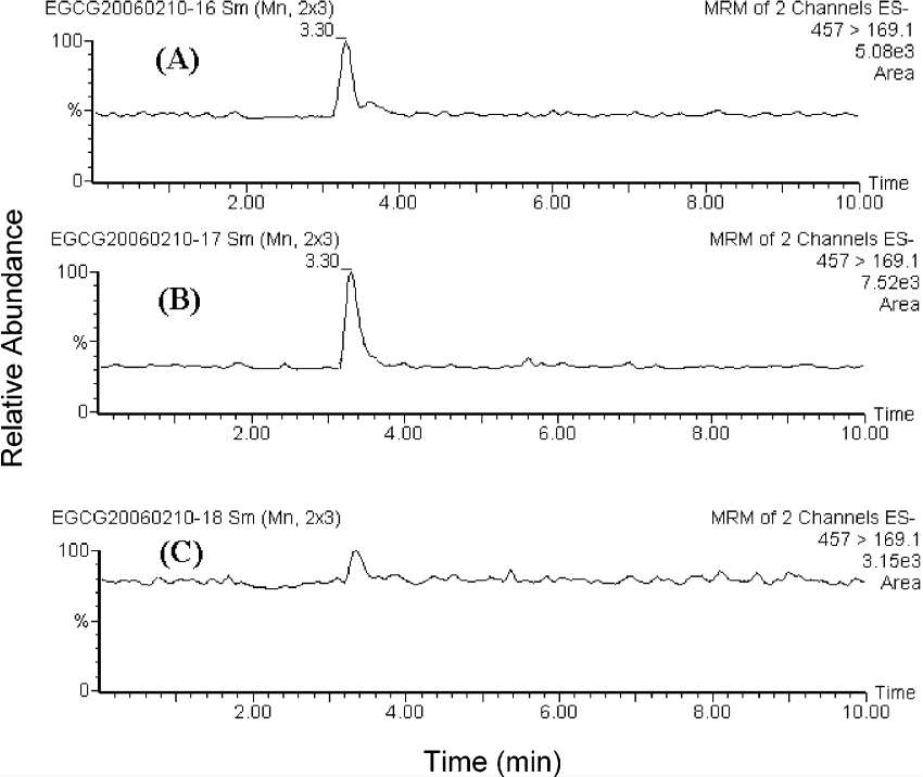 Representative MRM chromatogram showing EGCG in rat brain tissues at 15 min after EGCG administration (50 mg/kg, iv): (A) striatum; (B) cerebellum; (C) the rest of the brain.