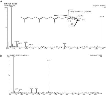 Mass spectra of farnesyl β-D-glucuronide and hydroxyfarnesyl β-D-glucuronide