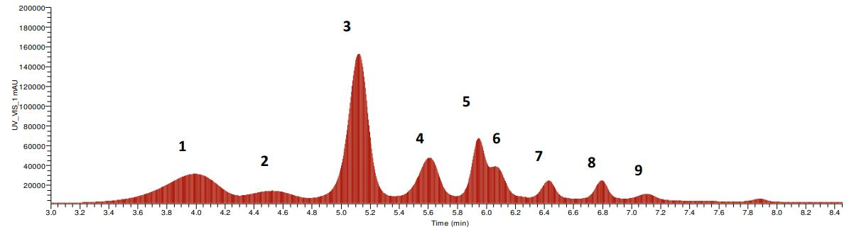 UHPLC-DAD chromatogram of Pistacia lentiscus anthocyanins.