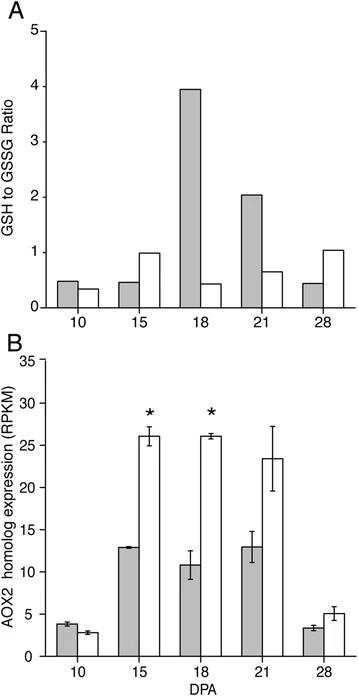 Metabolomic and transcriptomic evidence that transition-stage Gh fiber experiences more oxidative stress than Gb fiber.