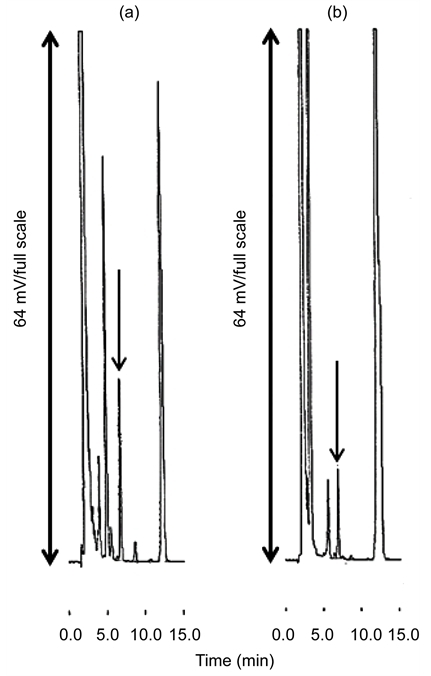 Typical chromatograms