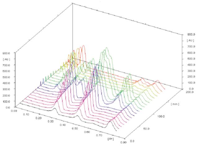 3D display of all tracks at 293 nm; mobile phase: toluene–ethyl acetate–methanol