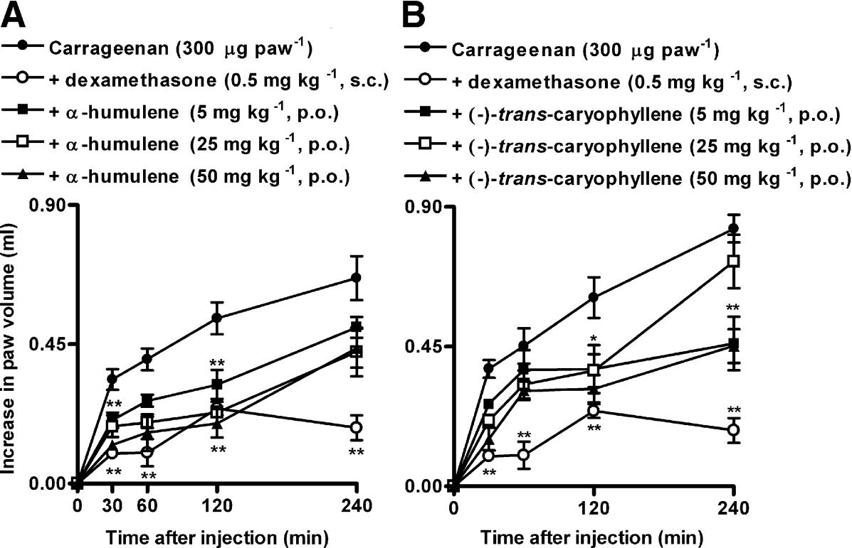 Effect of α-humulene and (−)-<em>trans</em>-caryophyllene on rat paw oedema induced by carrageenan.