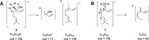 MS showing fragmentation patterns of β-myrcene and (S)-linalool.