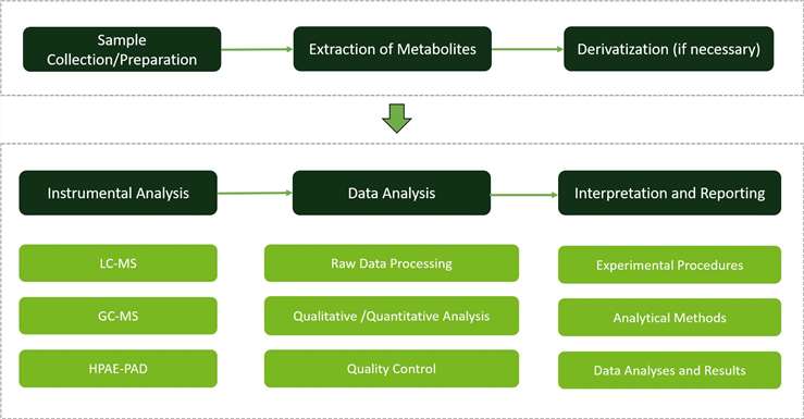 Monosaccharide Metabolism Analysis Service Workflow