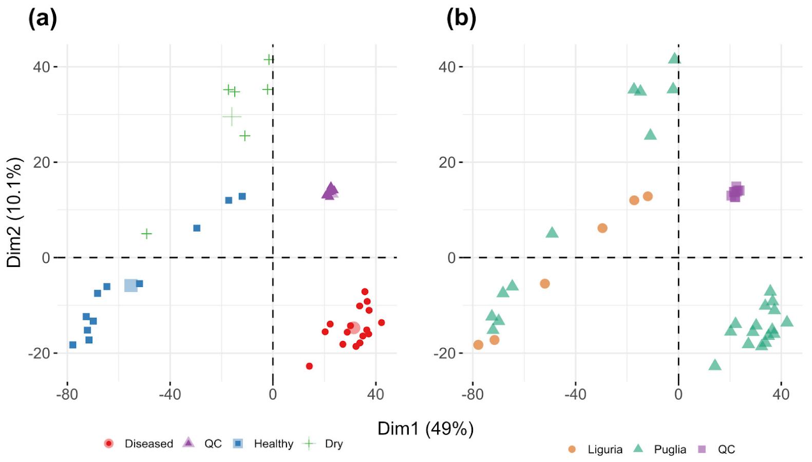 PCA score plots for all the samples analyzed