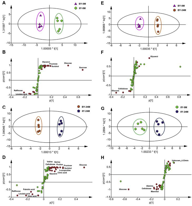 The score plots (A, C, E, G) and S-plot of the different metabolites (B, D, F, H) generated from OPLS-DA of pairwise GC-MS data comparison